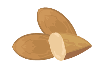 Salted Nuts